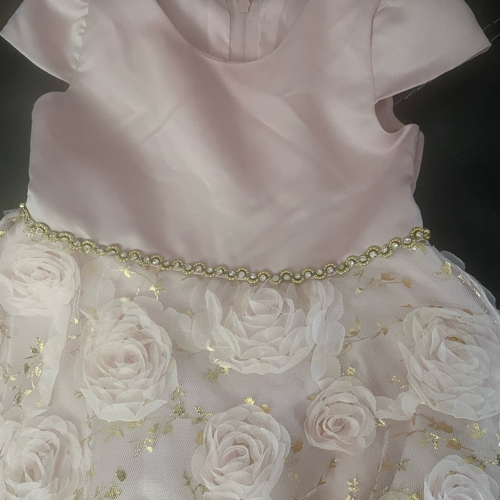 Elegant rare editions Pink and Gold Kids Dress